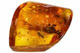 Three Fossil Flies (Diptera) And Ant (Formicidae) In Baltic Amber #109394-4